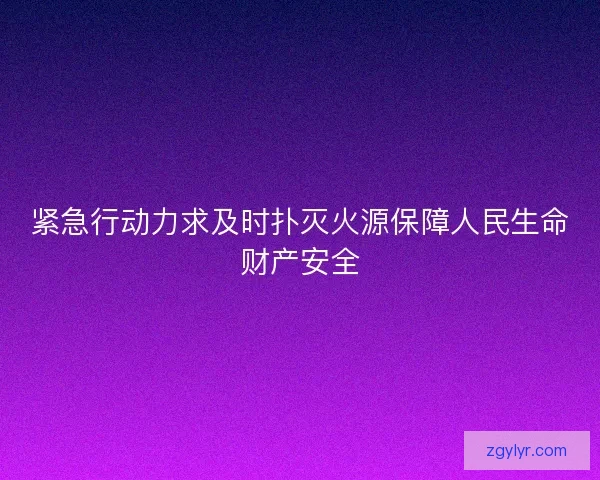 紧急行动力求及时扑灭火源保障人民生命财产安全