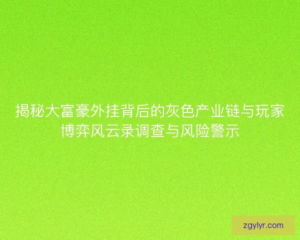揭秘大富豪外挂背后的灰色产业链与玩家博弈风云录调查与风险警示