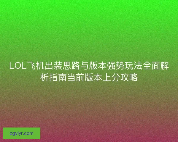 LOL飞机出装思路与版本强势玩法全面解析指南当前版本上分攻略