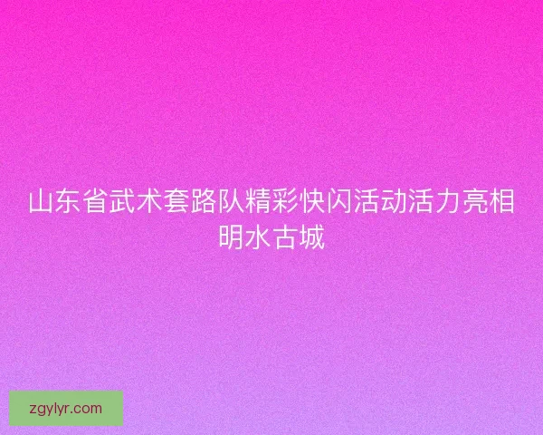 山东省武术套路队精彩快闪活动活力亮相明水古城