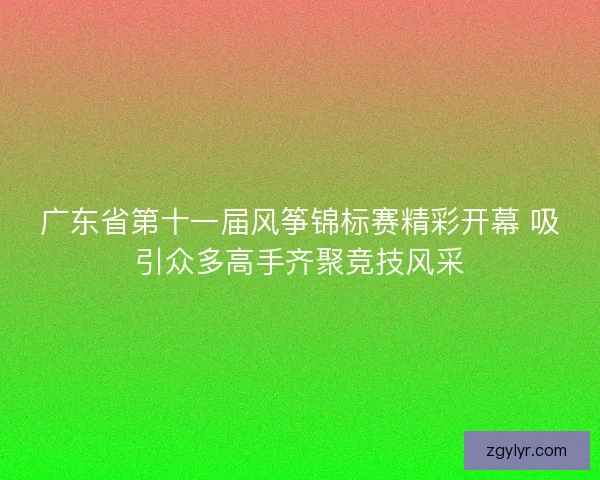 广东省第十一届风筝锦标赛精彩开幕 吸引众多高手齐聚竞技风采
